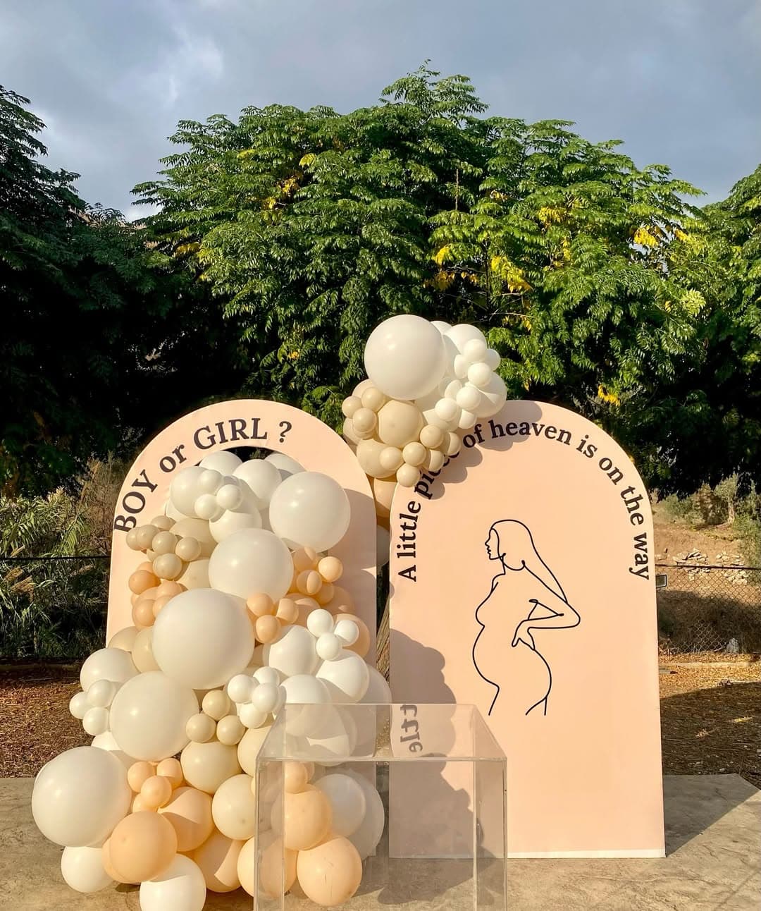 Heaven's Secret · Gender Reveal